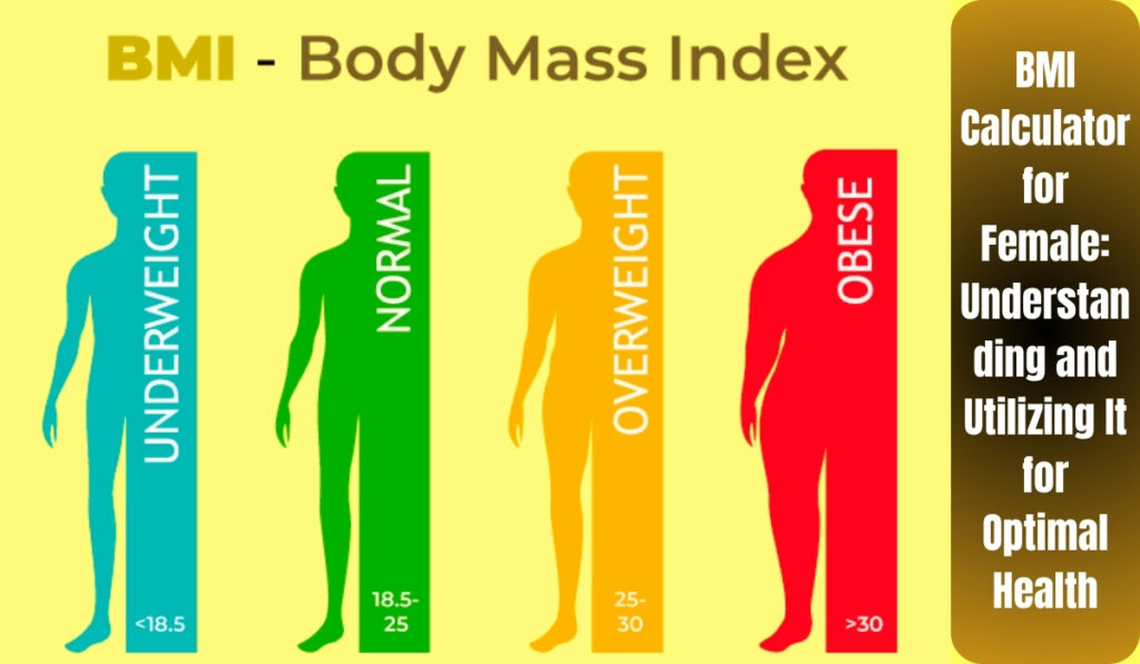 BMI Calculator for Female Understanding and Utilizing It for Optimal Health